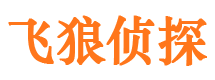 隆安婚外情调查取证